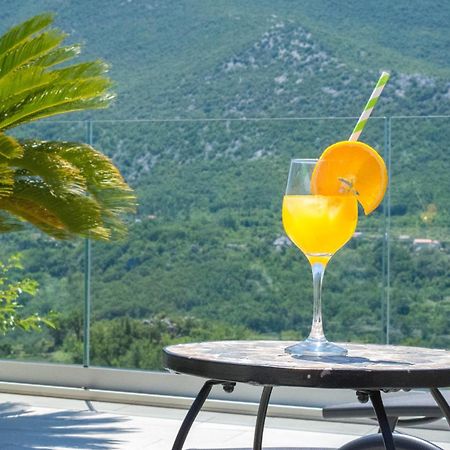 Villa Milena With Heated Pool And Jacuzzi Kostanje Exterior photo